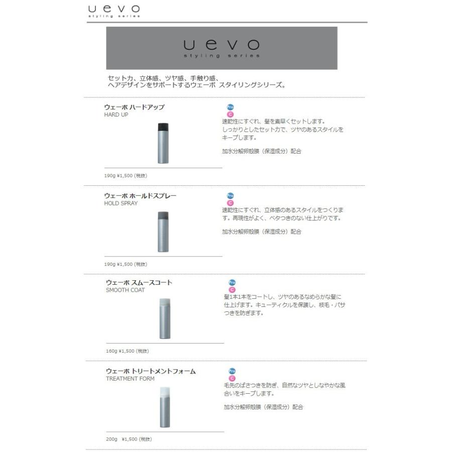 デミ コスメティクス（DEMI COSMETICS） デミ ウェーボ ホールド