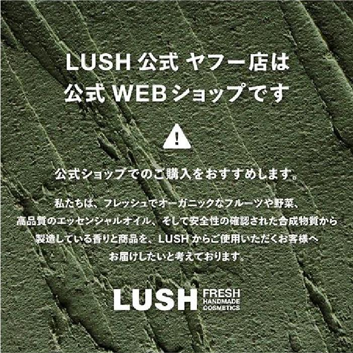 LUSH ラッシュ 公式 ハッピースキン 100g スクラブ スキンケア パック プチギフト 角質 毛穴 AHA 酵素 くすみ 透明感 手作り コスメ｜lush｜11