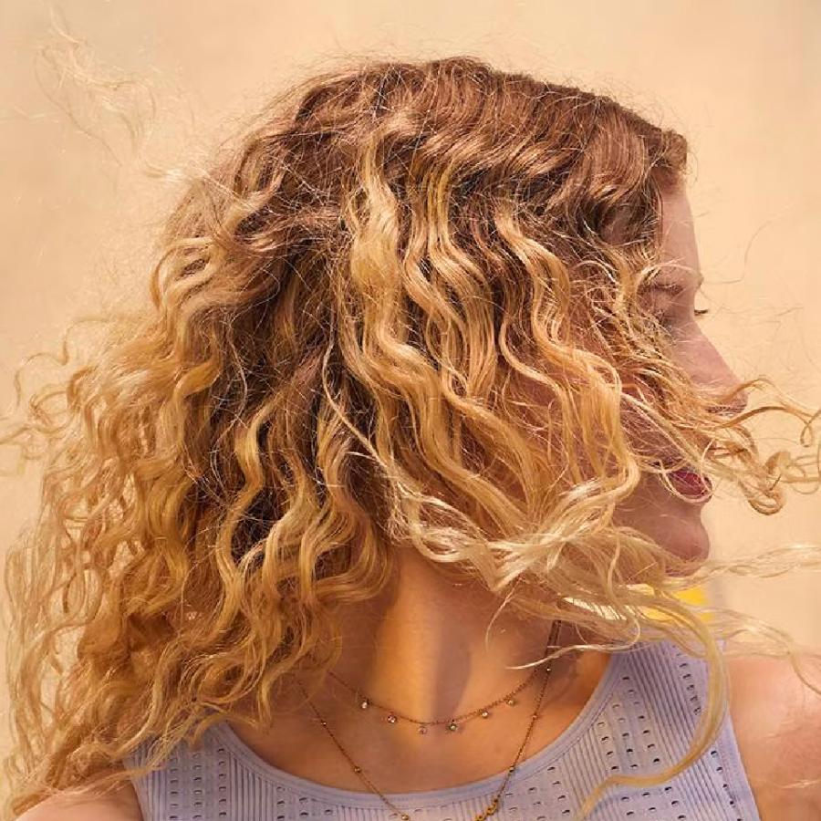 LUSH（ラッシュ） ゴー ビッグ ヘアケア ギフト 公式 贈り物 : LUSH