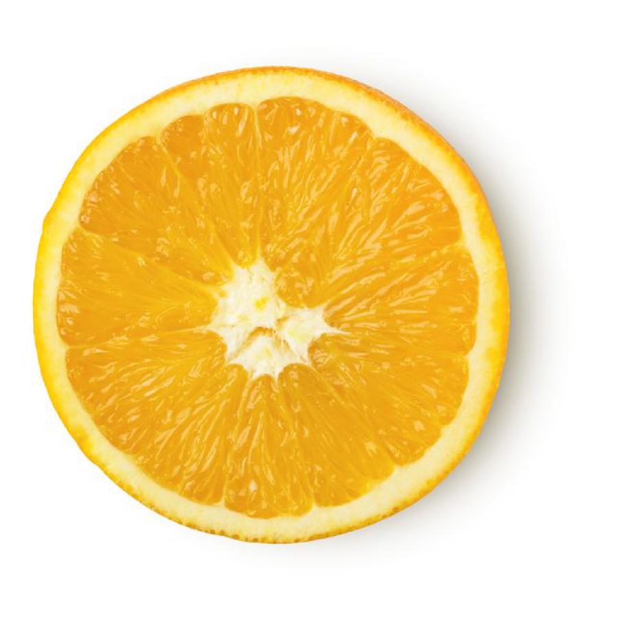 LUSH（ラッシュ） シトラス シャワー スクラブ 330g ボディケア