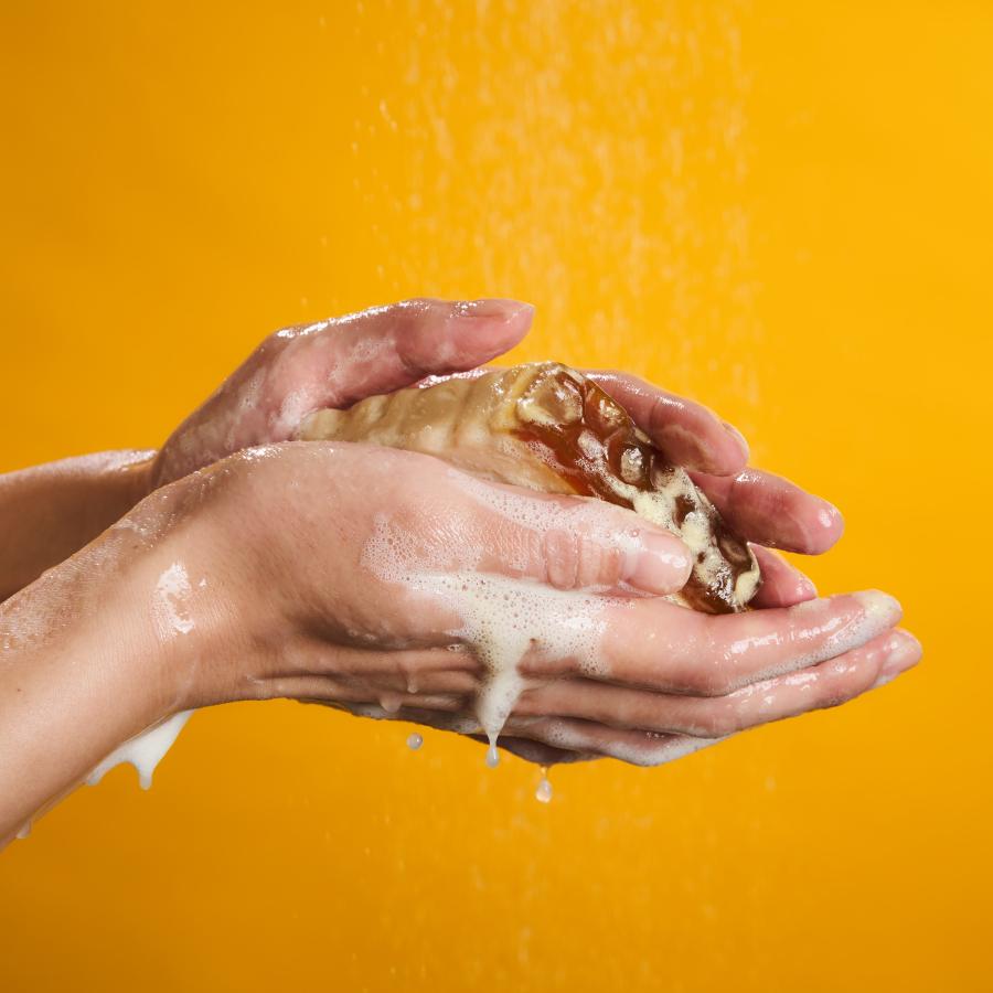 LUSH（ラッシュ） 父の日 プレゼント クーポン 対象店舗 サンクス