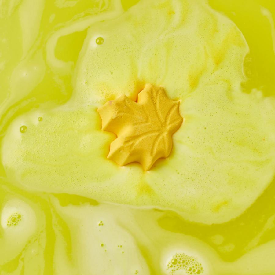LUSH オータム リーフス ギフト ギフトセット 詰め合わせ プレゼント ハロウィン 数量限定 バスボム 入浴剤 お風呂 保湿 癒やし 贈り物 ラッシュ 公式 | LUSH | 01
