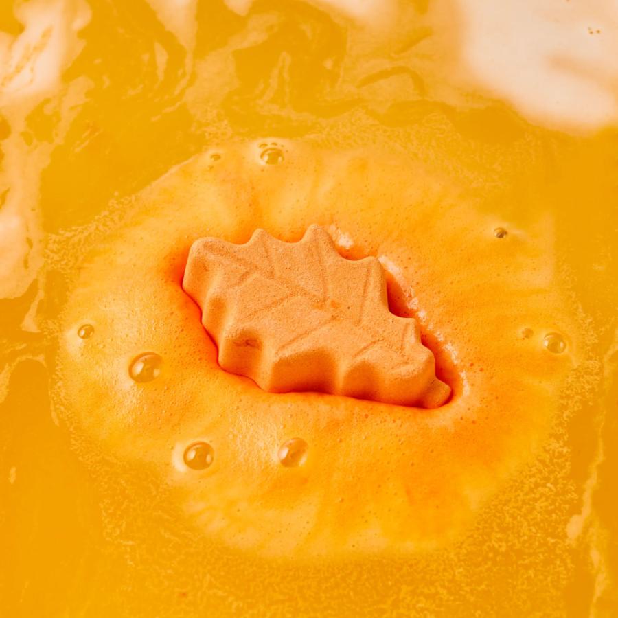 LUSH オータム リーフス ギフト ギフトセット 詰め合わせ プレゼント ハロウィン 数量限定 バスボム 入浴剤 お風呂 保湿 癒やし 贈り物 ラッシュ 公式 | LUSH | 03