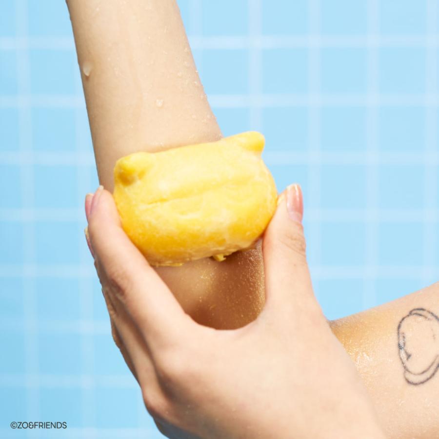 LUSH（ラッシュ） LUSH AKIZAKI デュオ ソープ ボディスクラブ LUSH