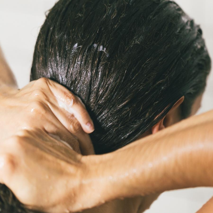 LUSH 菜 250g ヘア コンディショナー トリートメント プレゼント ボタニカル 潤い コシ 艶 弾力 手作り ノンシリコン ヴィーガン コスメ ラッシュ 公式 | LUSH | 04