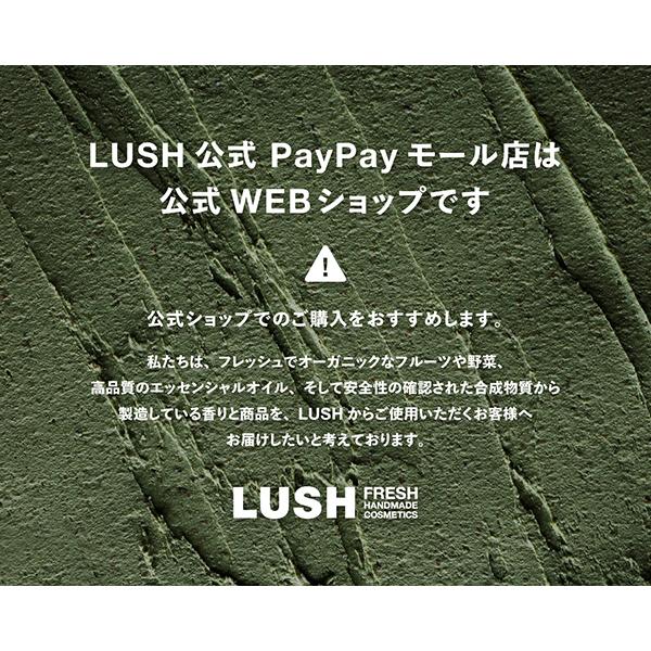 LUSH（ラッシュ） シャンプー ワビサビシャンクイ 110g 公式 : LUSH