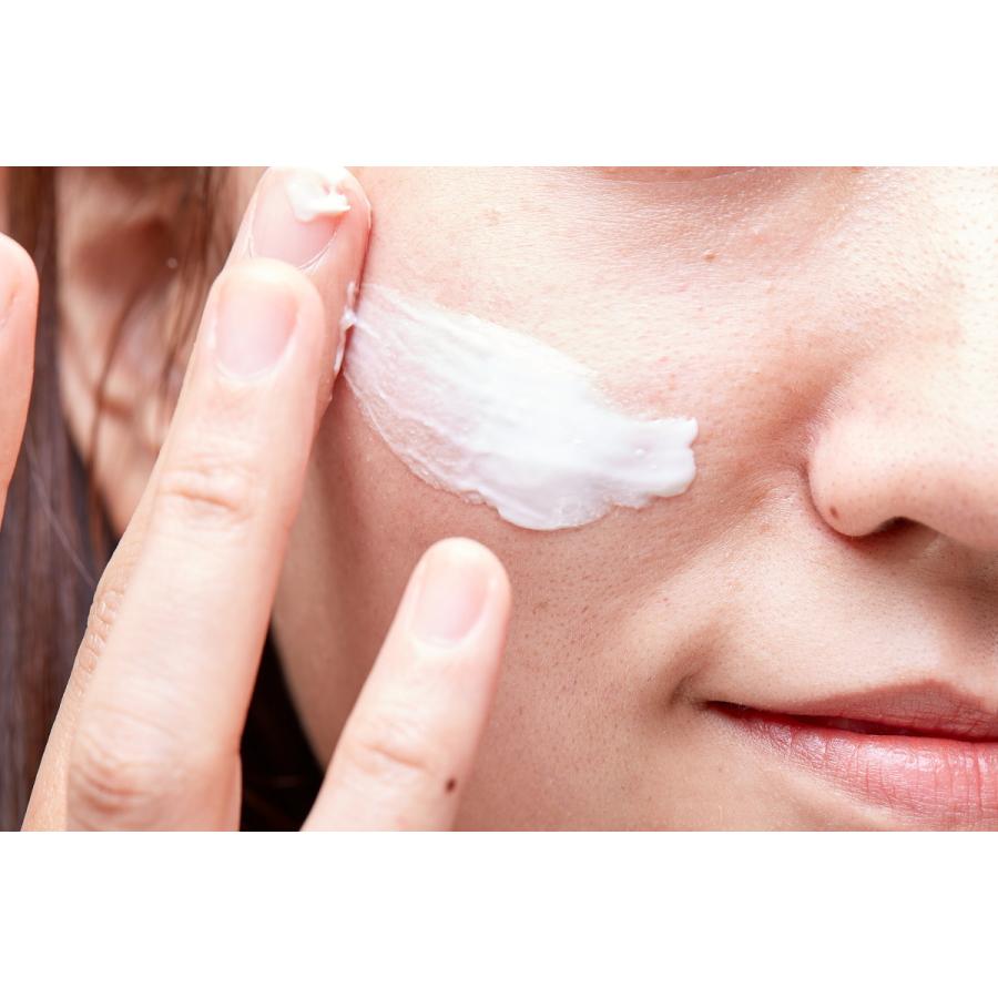 クレンジング ラッシュ 公式 Lush 俳句 95g 乾燥肌 ラッシュ公式 Paypayモール店 通販 Paypayモール