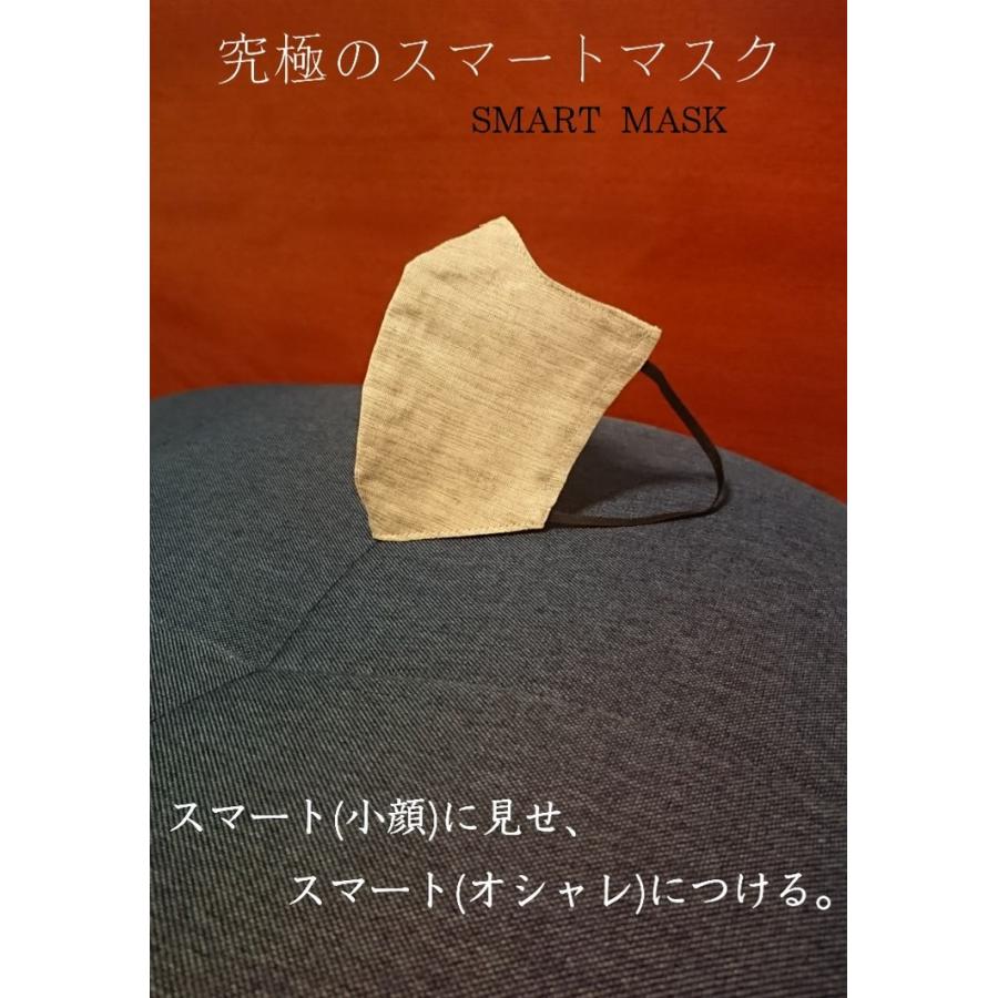 究極のスマートマスク　限定カラー　大人きれいめマスク　スタイリッシュマスク　最高に美しくなるマスク　シンプルマスク　おしゃれマスク　ナチュラルマスク　 | 