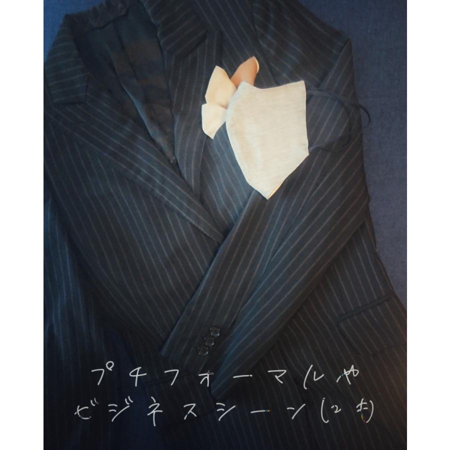 究極のスマートマスク　限定カラー　大人きれいめマスク　スタイリッシュマスク　最高に美しくなるマスク　シンプルマスク　おしゃれマスク　ナチュラルマスク　 |  | 02