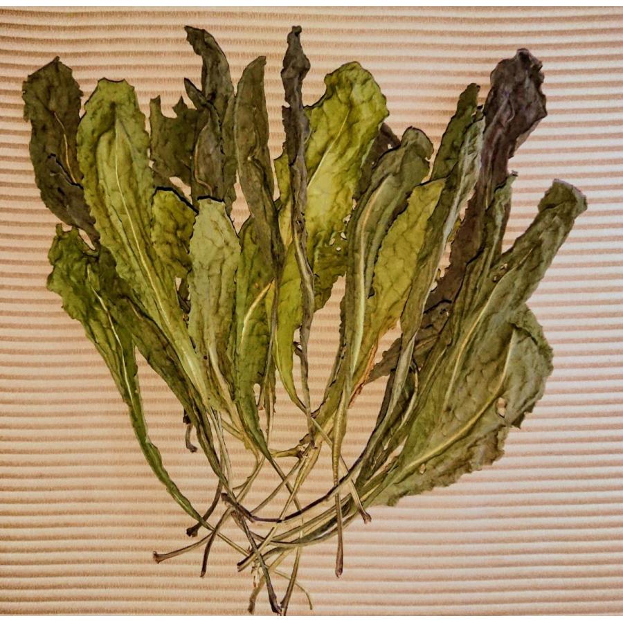 ホソバタイセイ 種 葉 根 ドライリーフ ハーブ ウォード 板藍根 |  | 02