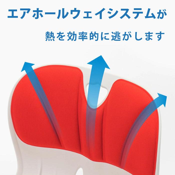 姿勢サポートチェア (硬め) 姿勢矯正 姿勢が良くなる 背筋伸びる椅子
