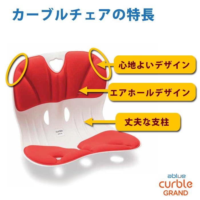 姿勢サポートチェア (硬め) 姿勢矯正 姿勢が良くなる 背筋伸びる椅子