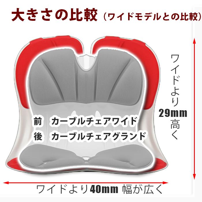 姿勢サポートチェア 姿勢矯正 姿勢が良くなる 背筋が伸びる 腰が楽に