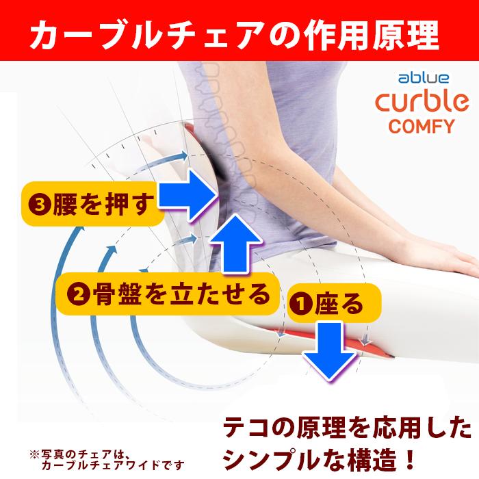 Salli 姿勢矯正チェア 黒 スリム Salliチェアー[Salli Chin] バックサポート付（ブラック） ※開封