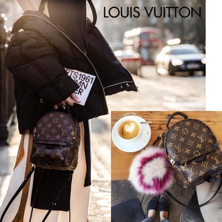 LOUIS VUITTON Louis Vuitton ルイヴィトン PALM SPRINGS MINI LOUIS VUITTON Louis Vuitton ルイヴィトン PALM SPRINGS MINI