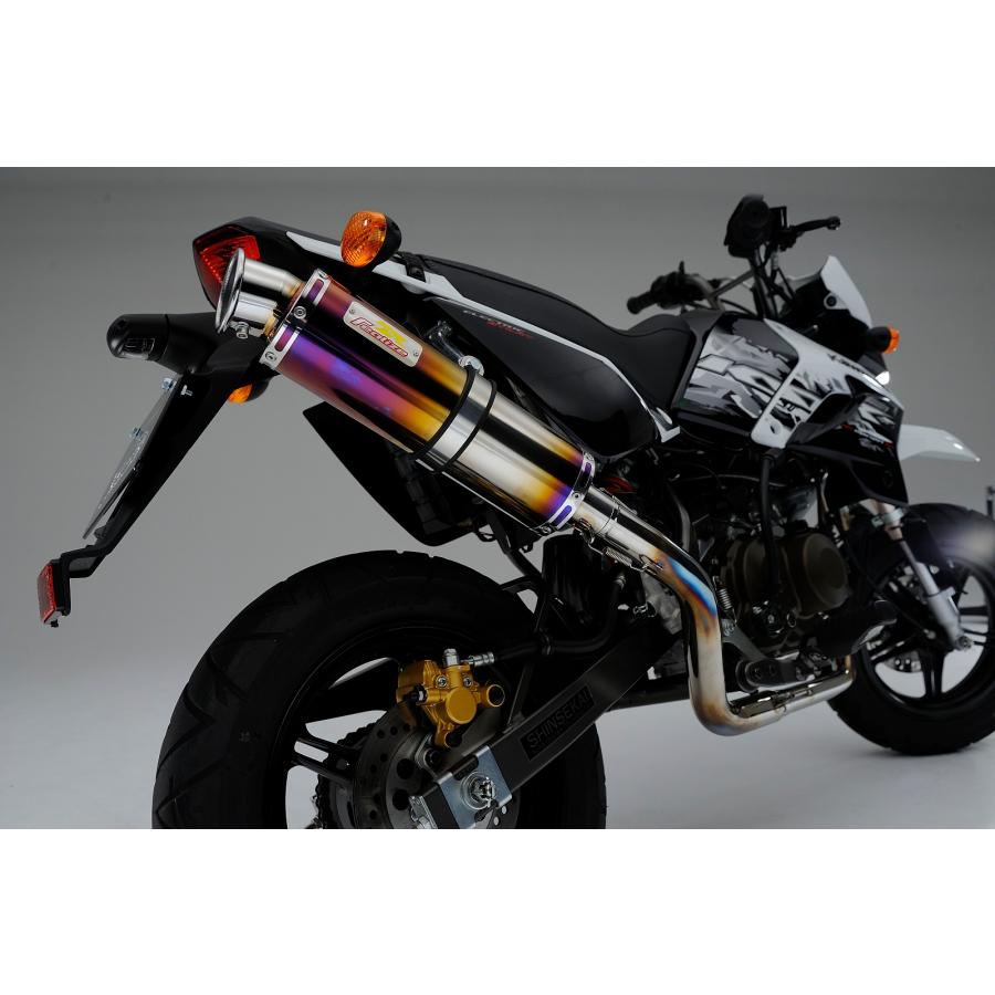REALIZE（リアライズ） Realize KSR PRO バイクマフラー KL110EEF 