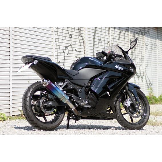 Realize カワサキ ニンジャ250R Aria チタン カール TypeC