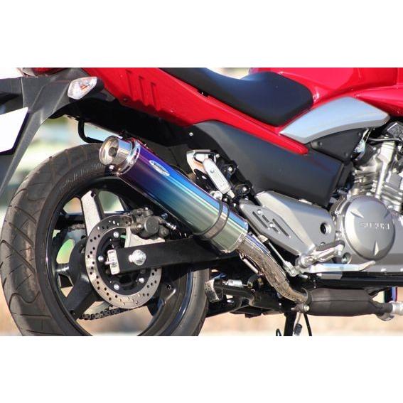 REALIZE Realize GSR250 バイクマフラー JBK-GJ55D 2012年〜2017 REALIZE Realize GSR250 バイクマフラー JBK-GJ55D 2012年〜2017