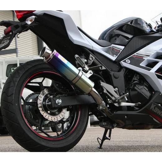 Ninja Realize ニンジャ250 バイクマフラー JBK-EX250L 2013年