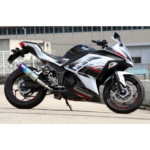 Ninja Realize ニンジャ250 バイクマフラー JBK-EX250L 2013年〜2017年