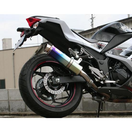 Realize (リアライズ) カワサキ ニンジャ250 (JBK-EX250L) 2013年?2017年モデル対応 バイクマフラー Aria アリア チタン スラッシュタイプ (TypeS) マフラー｜luvias｜02