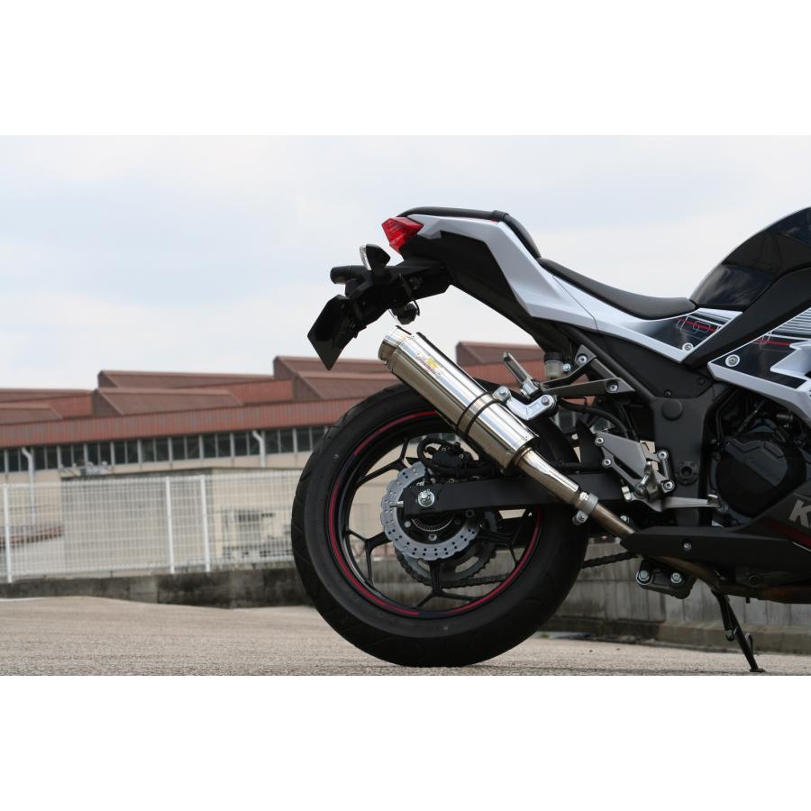 Ninja Realize ニンジャ250 バイクマフラー JBK-EX250L 2013年〜2017年