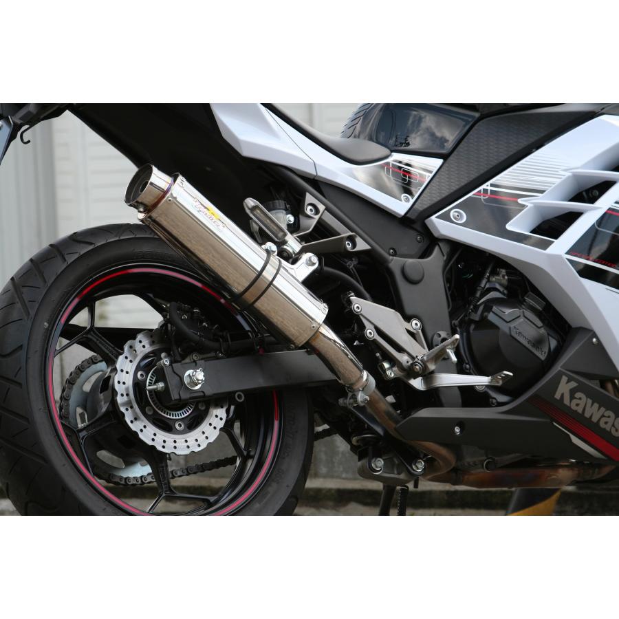 Ninja Realize ニンジャ250 バイクマフラー JBK-EX250L 2013年〜2017年