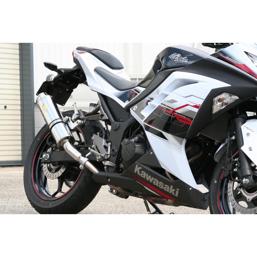 Ninja Realize ニンジャ250 バイクマフラー JBK-EX250L 2013年〜2017年