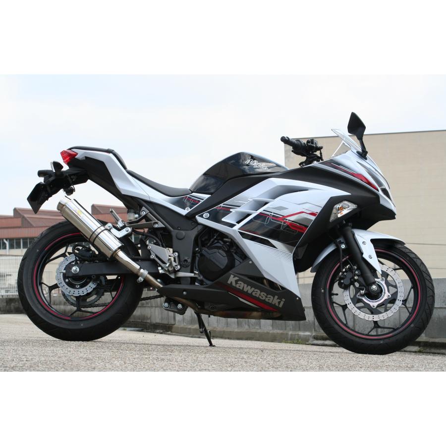 Ninja Realize ニンジャ250 バイクマフラー JBK-EX250L 2013年〜2017年
