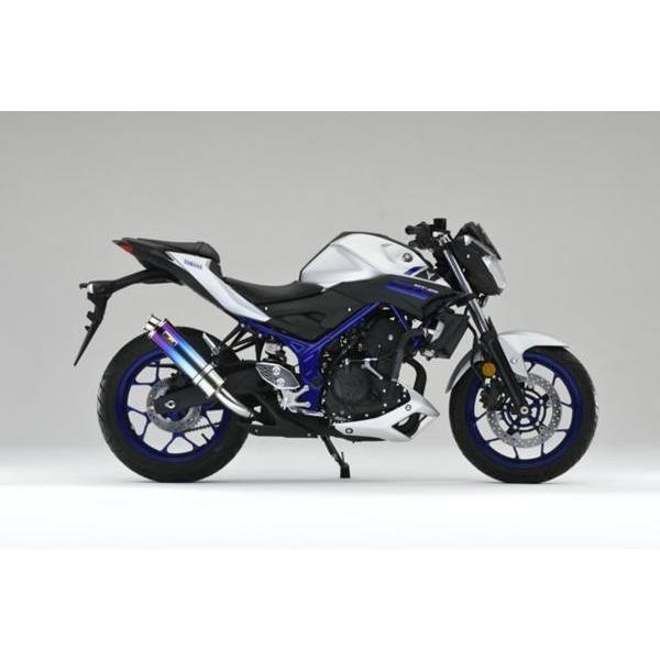 REALIZE（リアライズ） Realize MT-25 MT-03 バイクマフラー JBK-RG10J