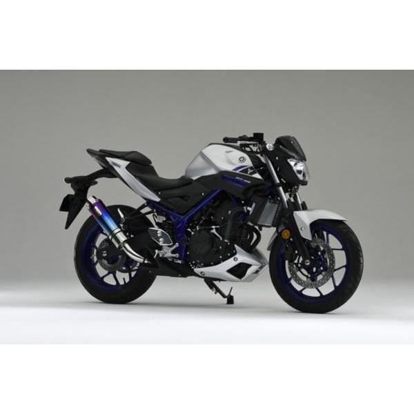 REALIZE（リアライズ） Realize MT-25 MT-03 バイクマフラー JBK-RG10J