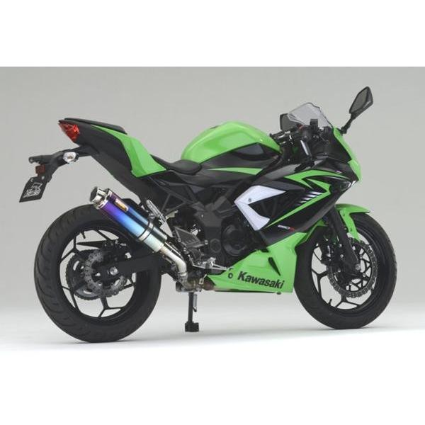 おすすめ】 Realize リアライズ カワサキ ニンジャ250SL JBK-BX250A