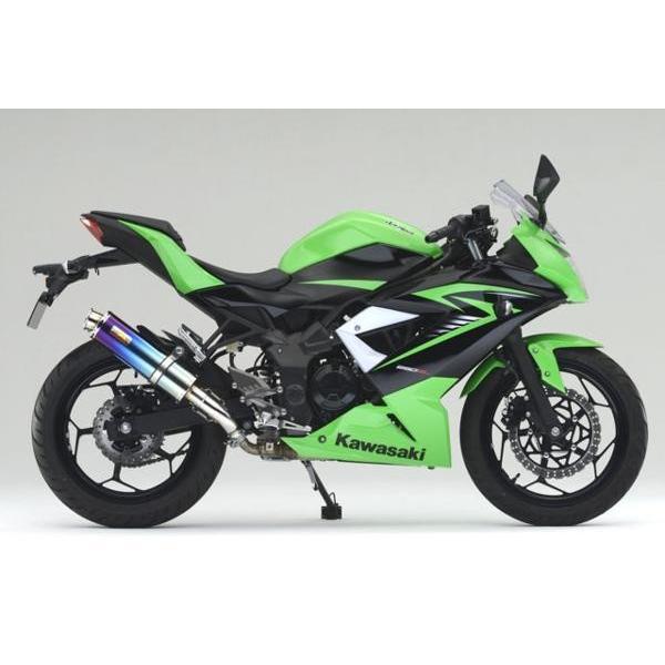 Ninja Realize ニンジャ250SL バイクマフラー JBK-BX250A 2015年〜2016 