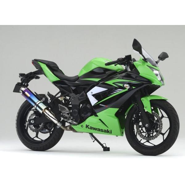 Ninja Realize ニンジャ250SL バイクマフラー JBK-BX250A 2015年〜2016