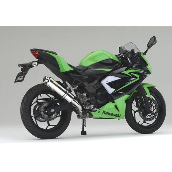 Ninja Realize ニンジャ250SL バイクマフラー JBK-BX250A 2015年〜2016