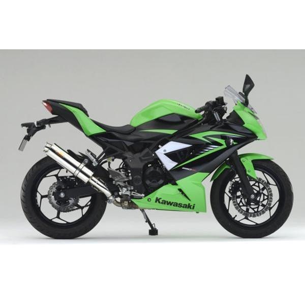 Ninja Realize ニンジャ250SL バイクマフラー JBK-BX250A 2015年〜2016 