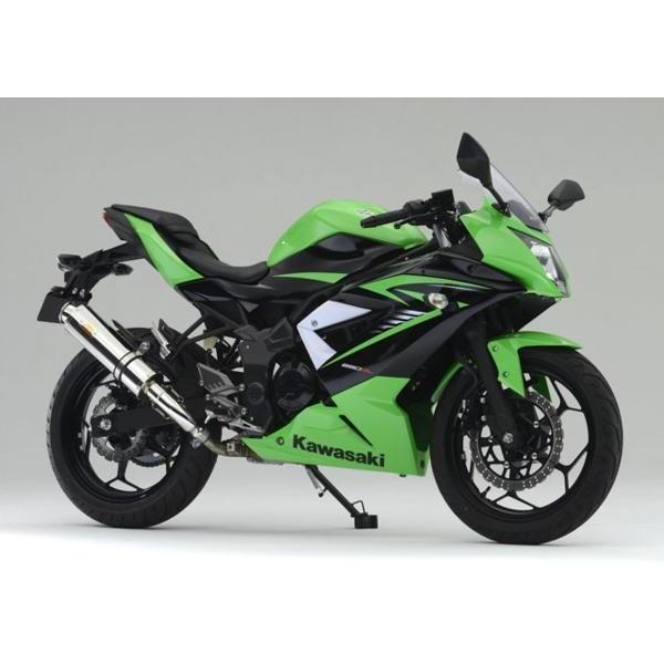 Ninja Realize ニンジャ250SL バイクマフラー JBK-BX250A 2015年〜2016