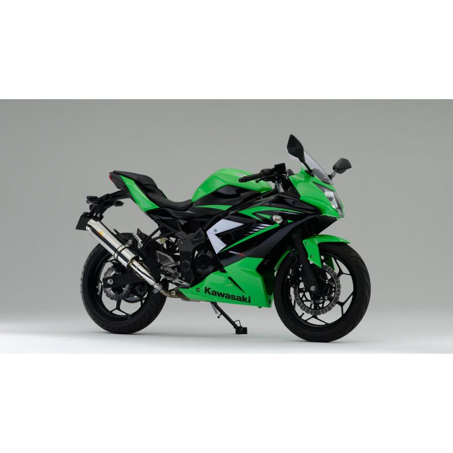 Ninja Realize ニンジャ250SL バイクマフラー JBK-BX250A 2015年〜2016
