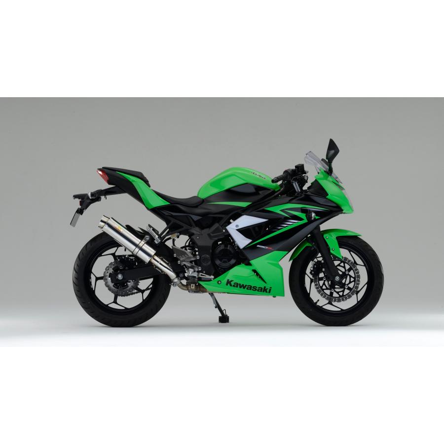 Ninja Realize ニンジャ250SL バイクマフラー JBK-BX250A 2015年〜2016