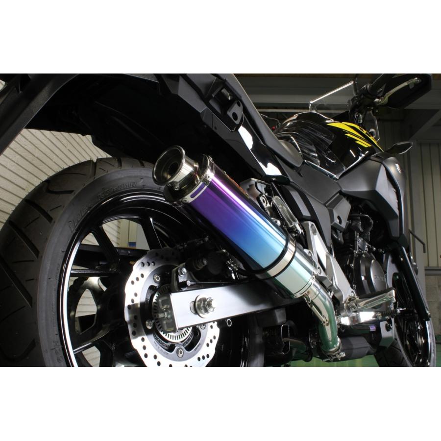 Vストローム Realize Vストローム250/ABS バイクマフラー 2BK-DS11A