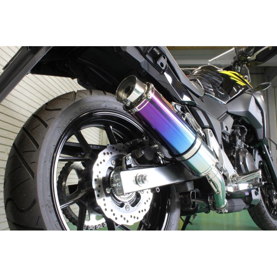 Realize スズキ Vストローム250 AriaスラッシュTypeS 楽天市場】Realize Vストローム250 バイクマフラー 2BK-DS11A