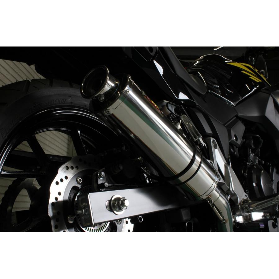 リピーターRealize Vストローム250/ABS Aria カール Vストローム Realize Vストローム250/ABS バイクマフラー 2BK-DS11A