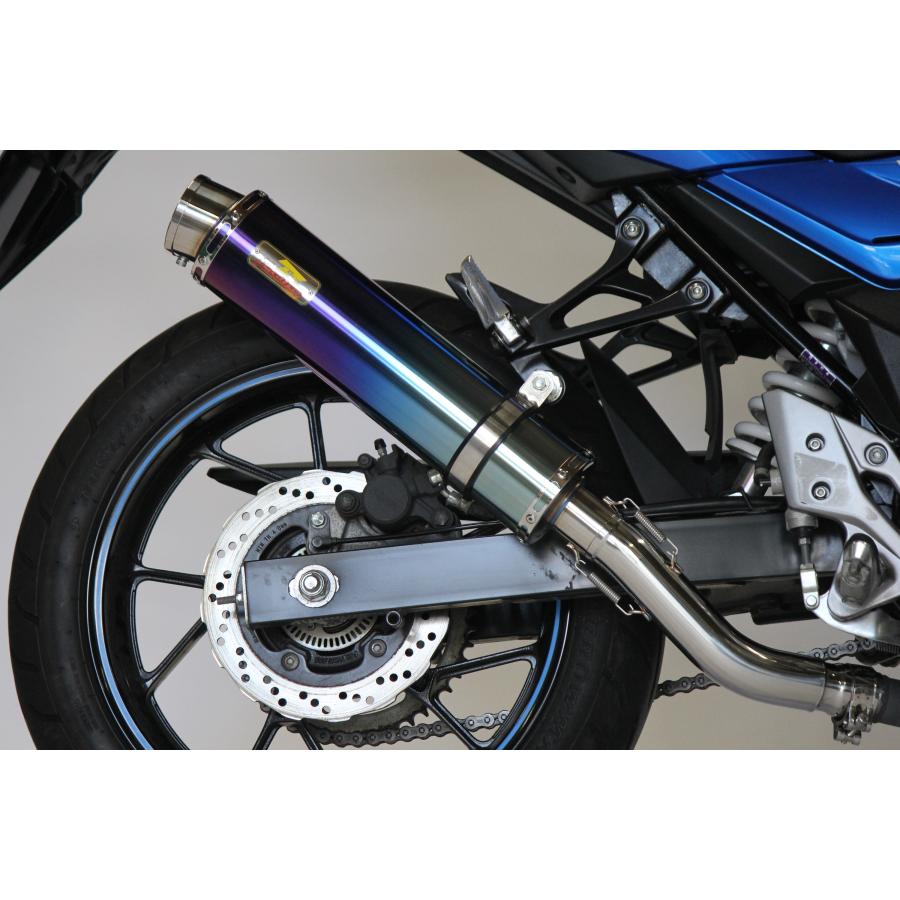 専用Realize GSX250R Aria スラッシュTypeS マフラー-