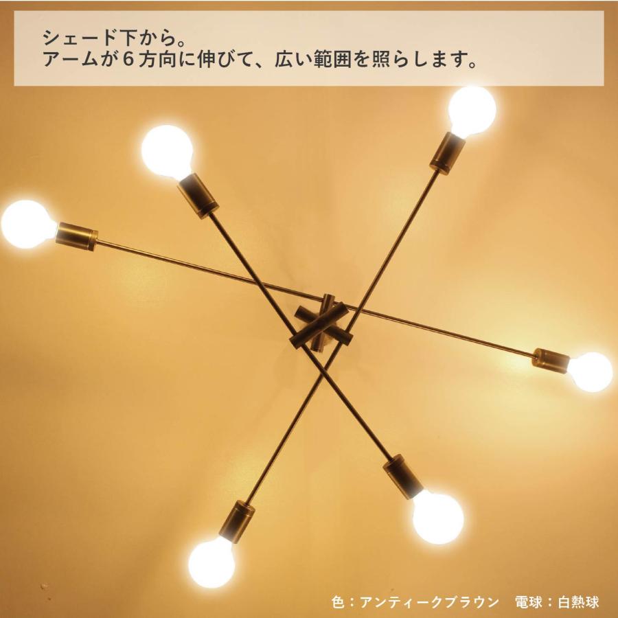 DI CLASSE カーディナル ブラック ペンダントライト Cardinal DI CLASSE カーディナル ブラック ペンダントライト Cardinal