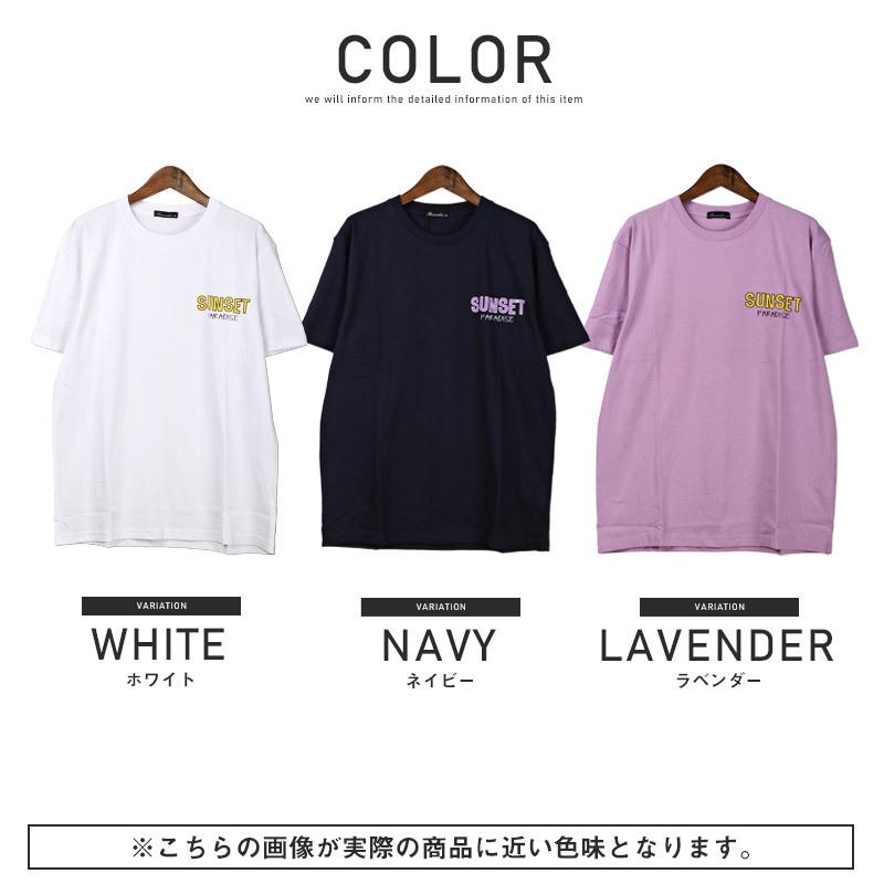 Tシャツ メンズ 半袖 プリント イラスト サンセット ロゴ ヤシの木