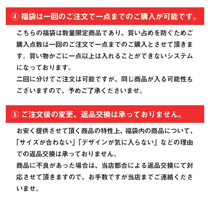 送料無料 福袋 21 メンズ ファッション 4点入り アウター トップス ボトムス ビター系 Hb 5000 Luxstyle 通販 Yahoo ショッピング