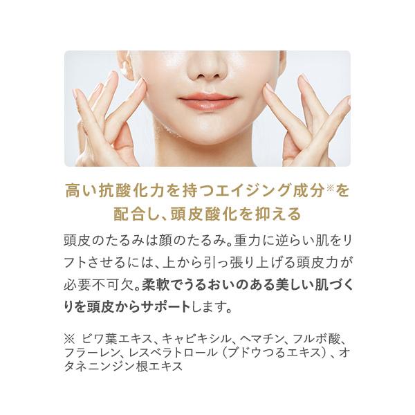 Optimistic オプティミスティック ハイリッチ スカルプエッセンスRB 260mL 詰め替え| 頭皮 ケア 頭皮ケア エイジングケア 美容液 スプレー リフィル 詰替_6