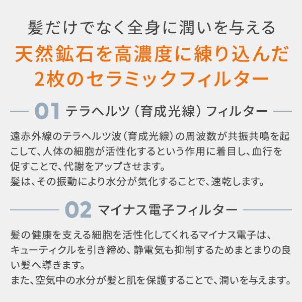 LOUVREDO 正規販売店 ルーヴルドー 復元ドライヤー mini-α LJ LOUVREDO 正規販売店 ルーヴルドー 復元ドライヤー mini-α LJ