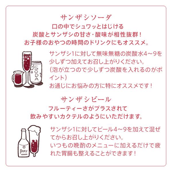 アルピジョン　Hset 業務用　1000ml +490g アルピジョン Hset 業務用 1000ml +490g アルピジョン Hset 業務用