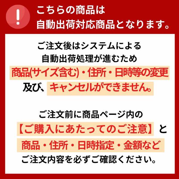 クレイツ クレイツイオン アイロン クラインストレート RCIS-G02W ヘア ストレートアイロン コテ 海外兼用 携帯用 カールアイロン 2way ストレート カール｜luxis｜05